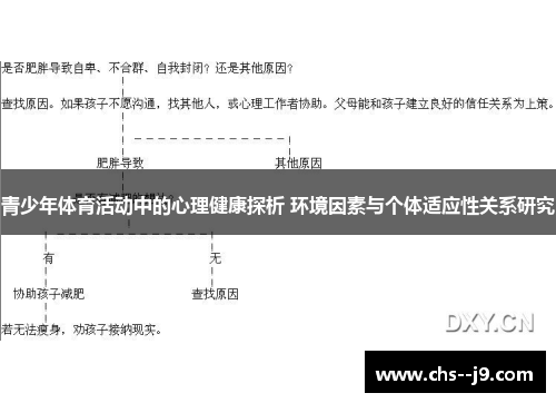 青少年体育活动中的心理健康探析 环境因素与个体适应性关系研究